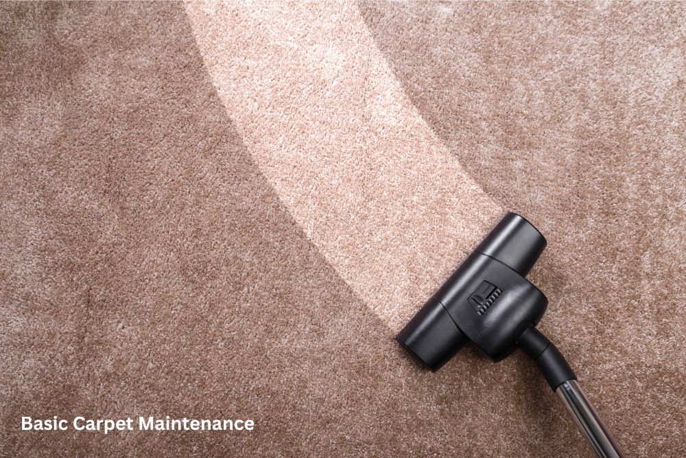 Carpet floor cleaning | Flemington Department Store