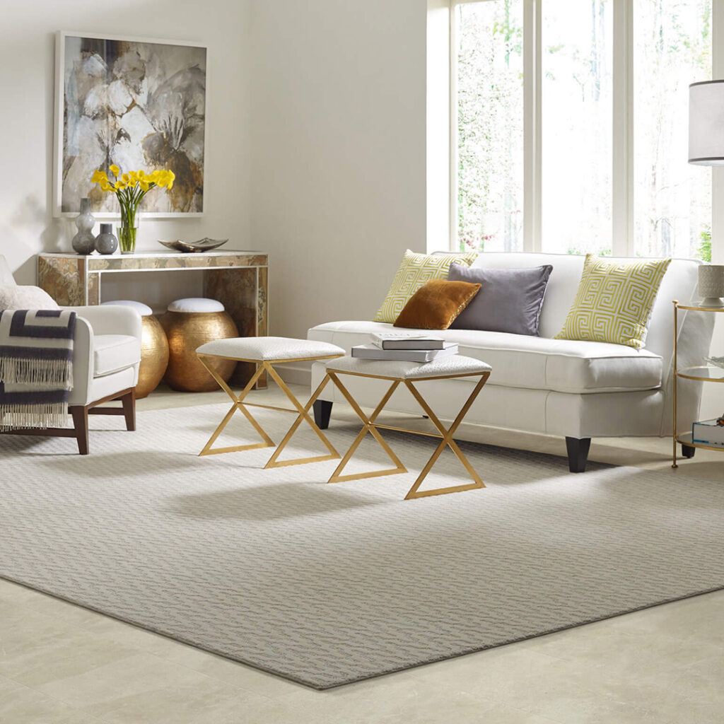 Area Rug | Flemington Department Store