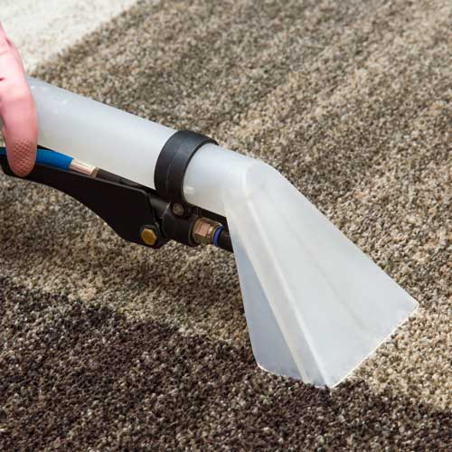 Carpet cleaning | Flemington Department Store