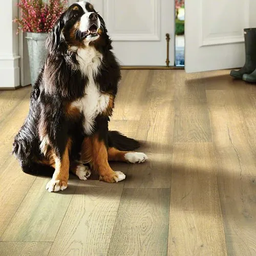 imgi_14_SF_FLOORTE_HARDWOOD_EXQUISITE_DOG